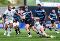 Warriors v Toulon