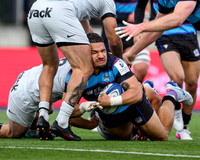 Warriors v Toulon