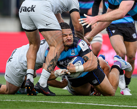 Warriors v Toulon