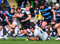 Warriors v Toulon