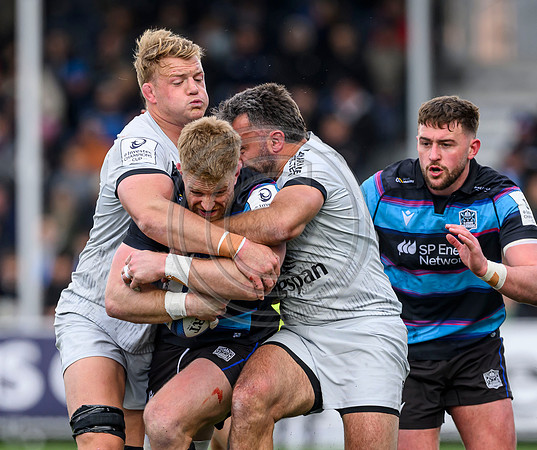 Warriors v Toulon