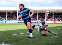 Warriors v Toulon