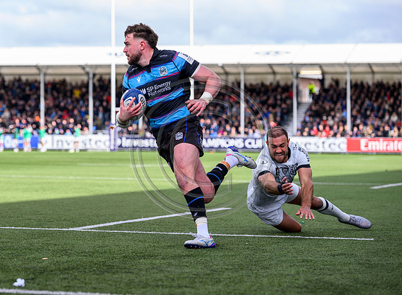 Warriors v Toulon