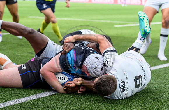 Warriors v Toulon