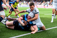 Warriors v Toulon
