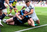 Warriors v Toulon
