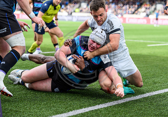 Warriors v Toulon