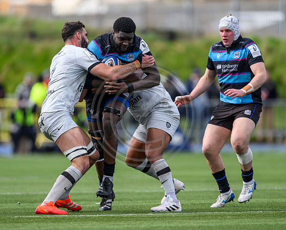 Warriors v Toulon