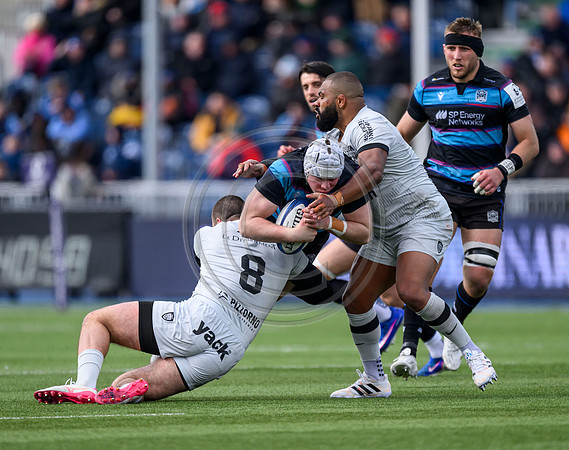 Warriors v Toulon