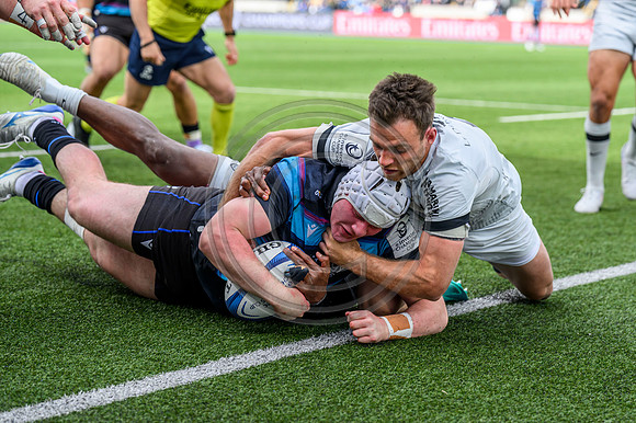 Warriors v Toulon