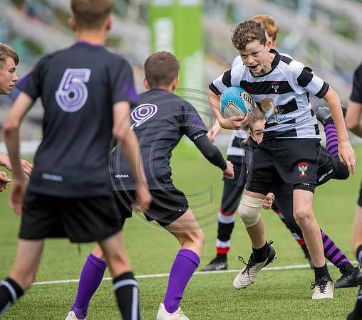 SP Energy Networks Warriors Championship Final