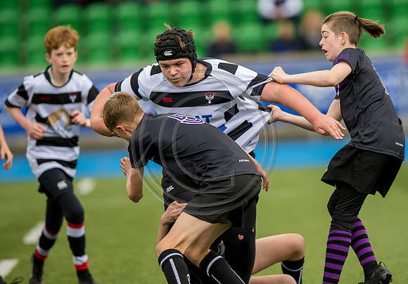 SP Energy Networks Warriors Championship Final