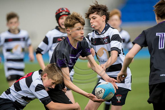 SP Energy Networks Warriors Championship Final