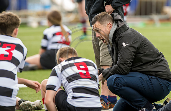 SP Energy Networks Warriors Championship Final