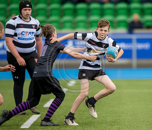 SP Energy Networks Warriors Championship Final