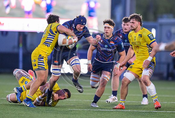 Edinburgh v Zebre Parma