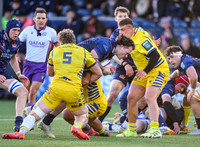 Edinburgh v Zebre Parma