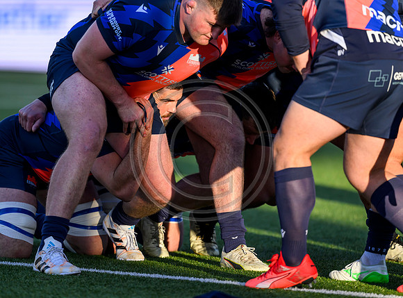 Edinburgh v Zebre Parma