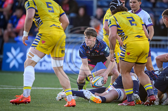 Edinburgh v Zebre Parma