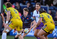 Edinburgh v Zebre Parma