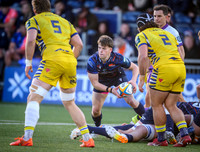Edinburgh v Zebre Parma