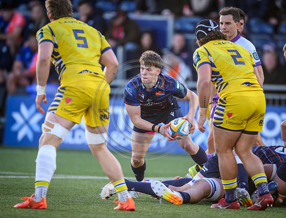 Edinburgh v Zebre Parma
