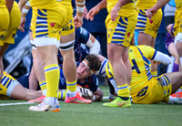 Edinburgh v Zebre Parma