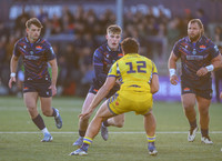 Edinburgh v Zebre Parma