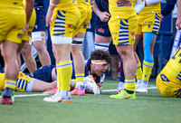 Edinburgh v Zebre Parma