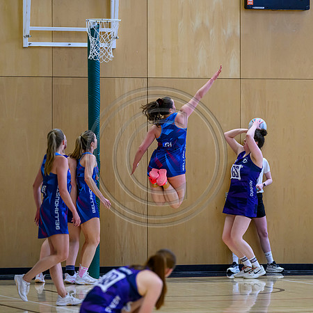Dunedin v Bellahouston