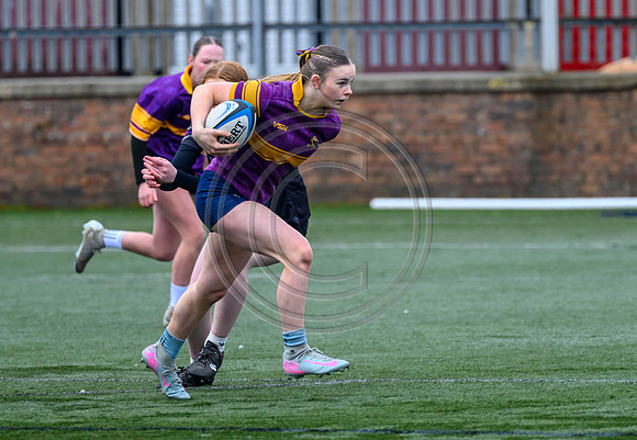 SPEN Warriors Championship Semifinal