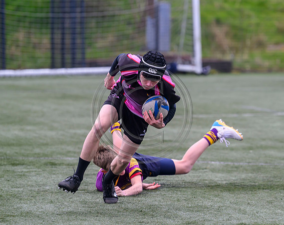 SPEN Warriors Championship Semifinal