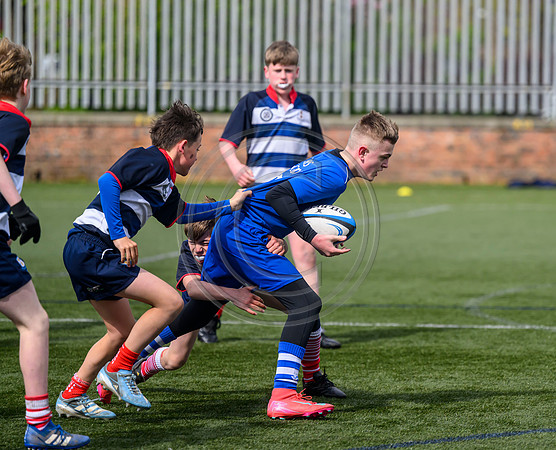 SPEN Warriors Championship Semifinal