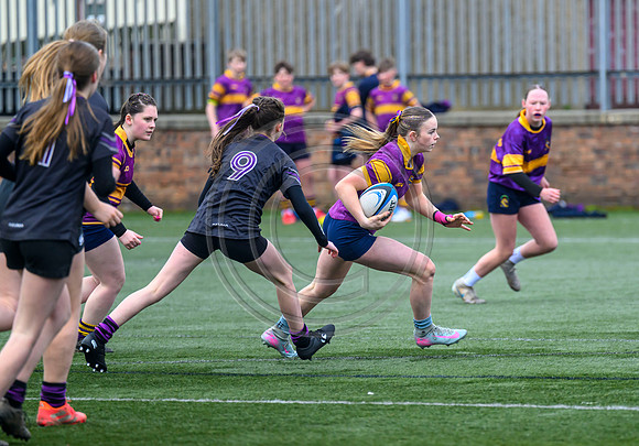 SPEN Warriors Championship Semifinal
