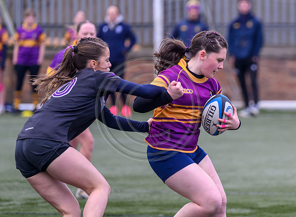 SPEN Warriors Championship Semifinal