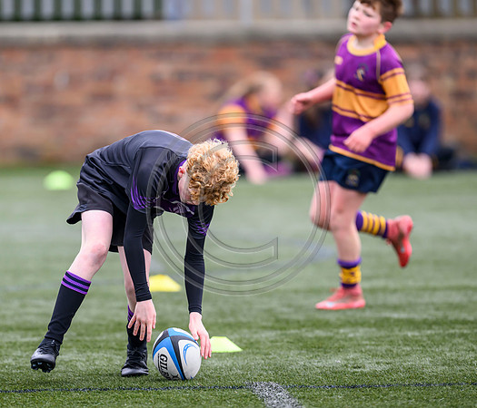 SPEN Warriors Championship Semifinal