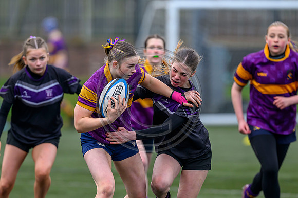 SPEN Warriors Championship Semifinal