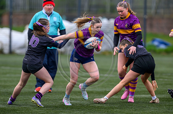 SPEN Warriors Championship Semifinal