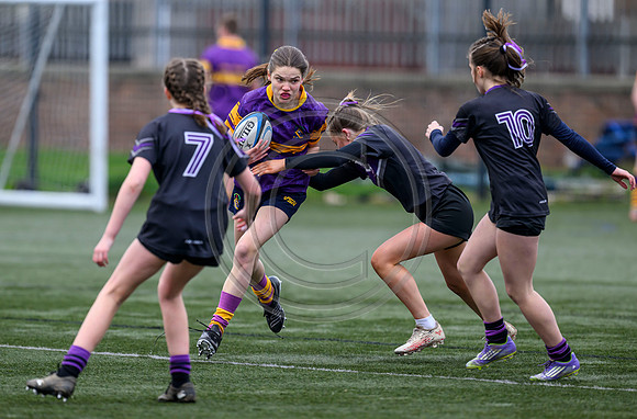 SPEN Warriors Championship Semifinal