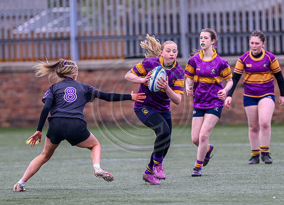 SPEN Warriors Championship Semifinal
