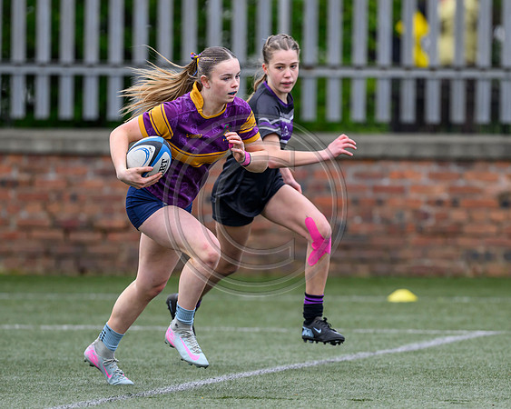 SPEN Warriors Championship Semifinal