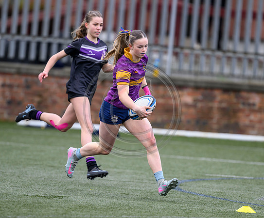 SPEN Warriors Championship Semifinal