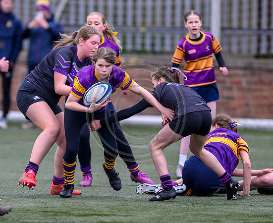 SPEN Warriors Championship Semifinal