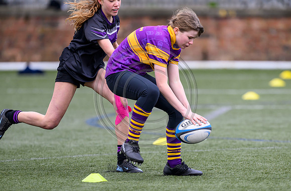 SPEN Warriors Championship Semifinal