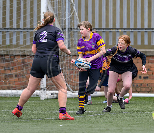 SPEN Warriors Championship Semifinal