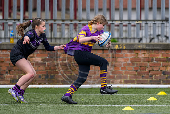 SPEN Warriors Championship Semifinal