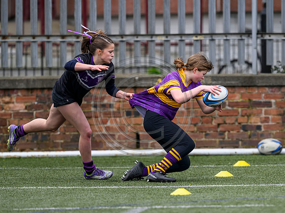 SPEN Warriors Championship Semifinal