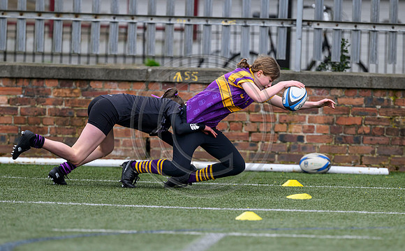 SPEN Warriors Championship Semifinal