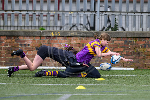 SPEN Warriors Championship Semifinal