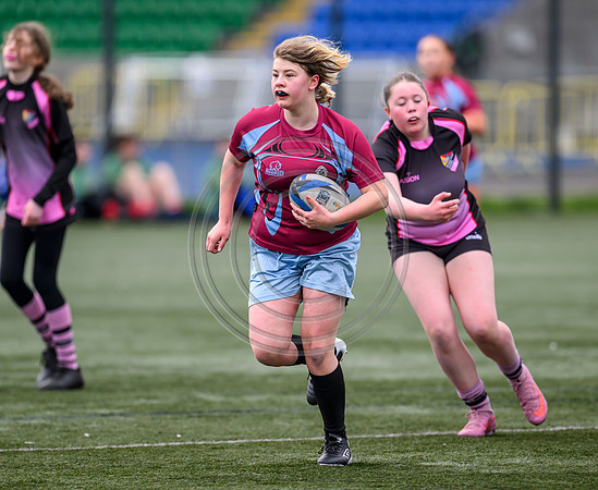 SPEN Warriors Championship Semifinal